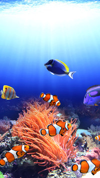 underwater world-01
