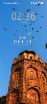 Delhi in Motion