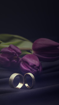 婚戒-锐景创意