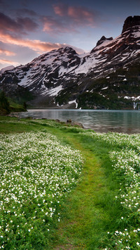 Alps 96