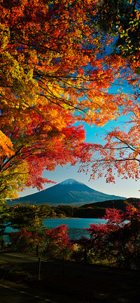 beautiful Japan-PAIXIN