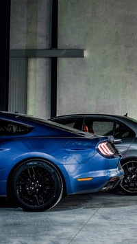 福特Mustang