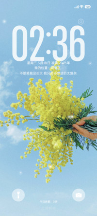 清新治愈花语