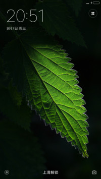植觉