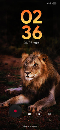 Animal Oz