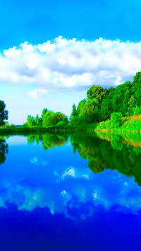 Green Grass
