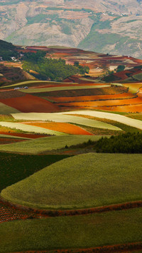 High-angle view overlooking farmland