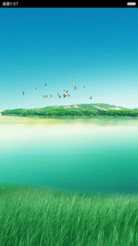 绿色湿地风景 清新护眼 右滑解锁