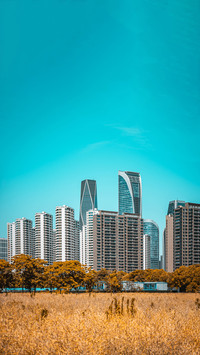 Modern high-rise buildings