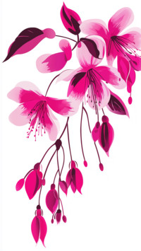 Blooming Beauty