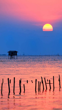 Go to Maldives