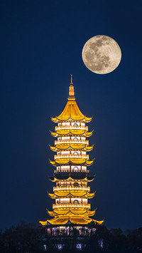 月光与灯火的千年对谈