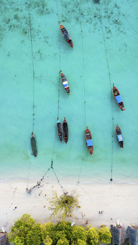 Fishing Boats on Shore