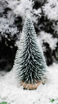 Winter Snow Country