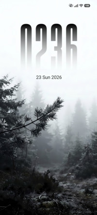 Foggy Pines