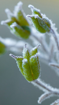 Winter scenery-06