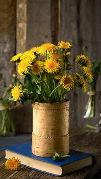 What flowers do the twelve zodiac signs represent