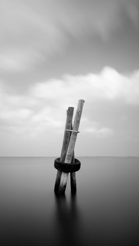 Black and white silence