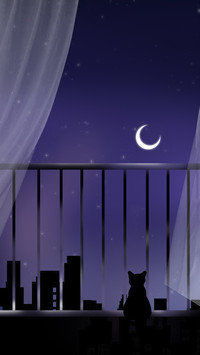 Silver Moon Starlight