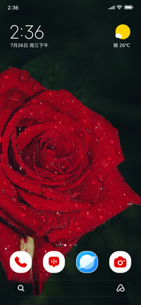 Petal Charm
