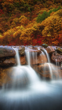 Amazing Eyes of Autumn 7