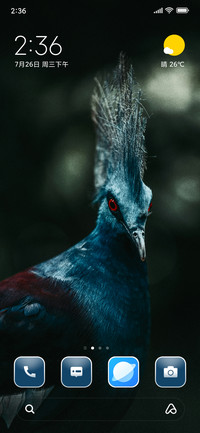 Victoria Pigeon
