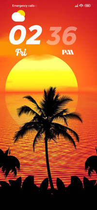 Palm Trees