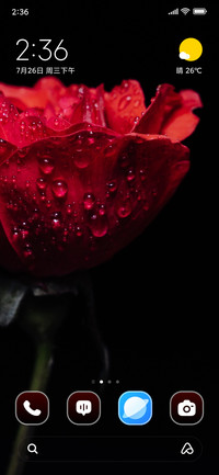 Red Rose Garden