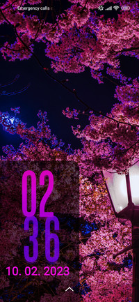 cherry year