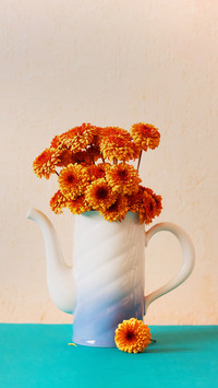 Blooming flower 5 6