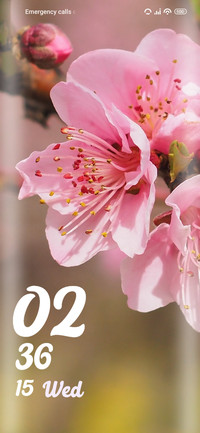 Spring Flower