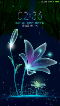 暗夜花语
