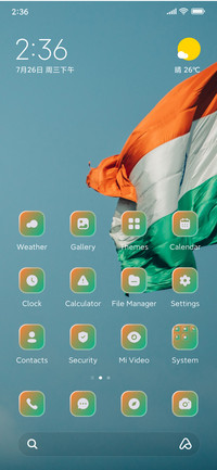 Indian Flag