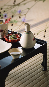 Secret of Japanese Materials 6