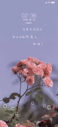 惊艳所有人
