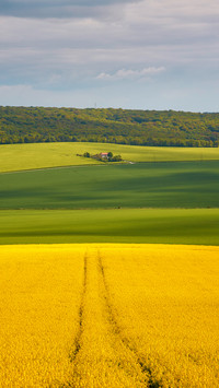 Farmland fields