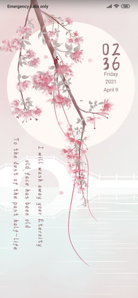 Peach Blossoms
