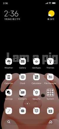 i am a pig