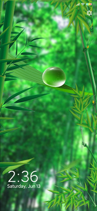 茂林修竹