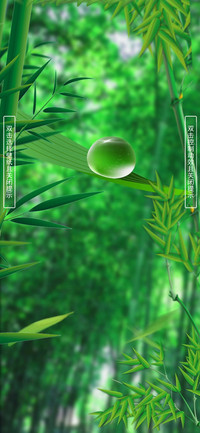 茂林修竹