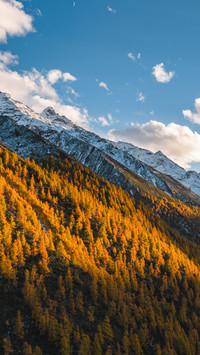 Snowy mountains, colorful forests at sunset