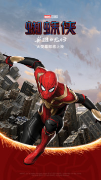 蜘蛛侠：英雄无归