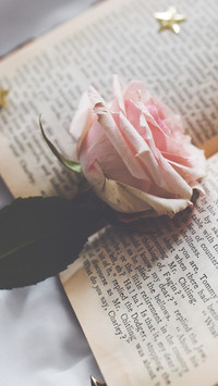 international_flower (1)