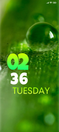 Rain droplets