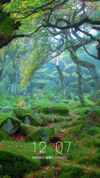 青山绿树