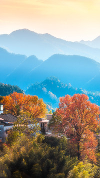 Some colors of autumn 2