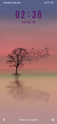 Dawn_3MDS