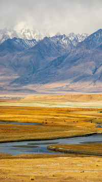 Encounter the golden autumn of the grassland 2