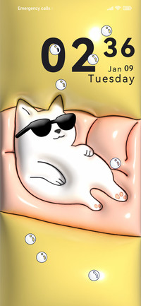 Sunglasses cat