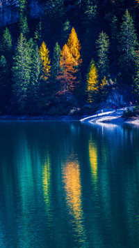 Lake in autumn